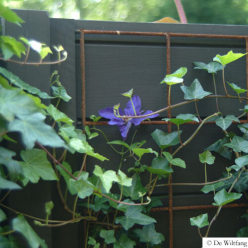 Uula Kookverf - Zwartbruin 50/95 - 3 of 10 liter - Ecologisch