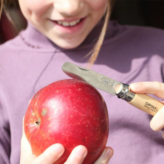 Opinel Zakmes - Pick Nick - 18 cm - Inklapbaar - RVS