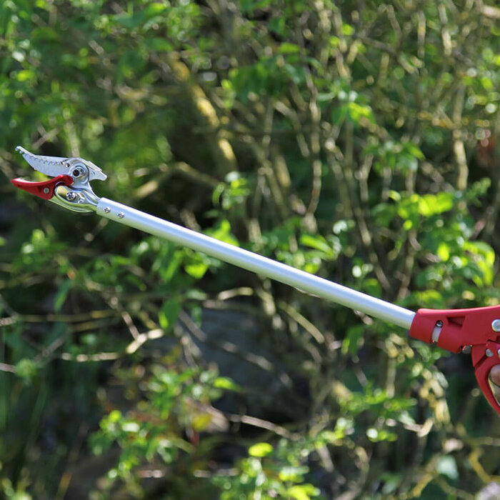 ARS Rozensnoeischaar - 60 cm - Rozenschaar - Plukschaar