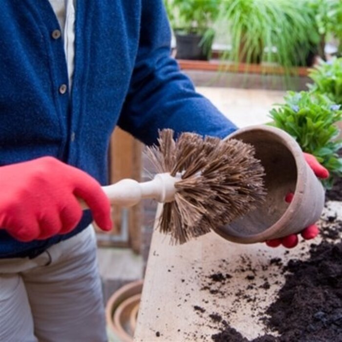De Wiltfang Bloempotborstel