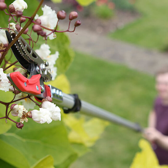 Darlac Telescopische plukschaar met zaag
