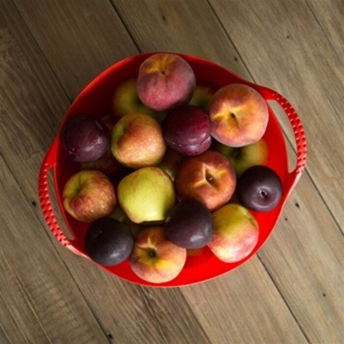 Tubtrugs Tubtrug rood - 26 of 38 liter - Hitte- en vriesbestendig - 0,7 kg