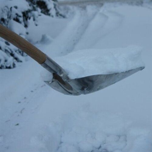 De Wiltfang Graanschop - Sneeuwschop met Zwitserse steel - 195 cm