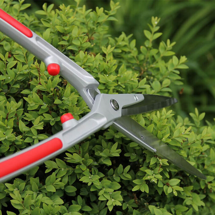 ARS Buxushaagschaar - 63 cm - Lichtgewicht