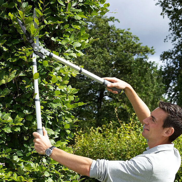 Burgon & Ball RHS Telescopische heggenschaar - 65,5 t/m 85 cm