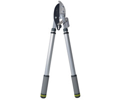 Burgon & Ball RHS Telescopische - Hefboom takkenschaar