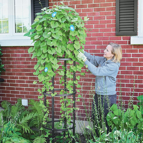 Harrod Obelisk Rond - 2 m hoog - 50 cm breed