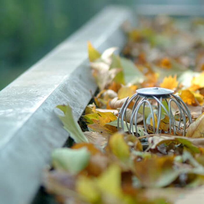 Rheinzink Boldraadrooster RVS - tot 12 cm