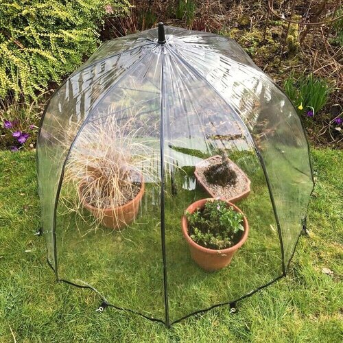 GardenSkill Planten Paraplu - Cloche - diameter 1 meter