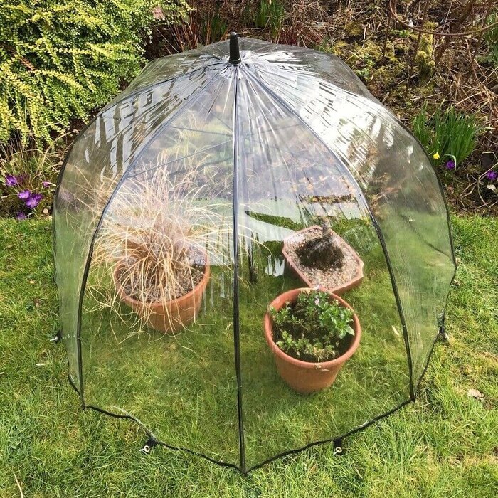 GardenSkill Planten Paraplu - Cloche - diameter 1 meter