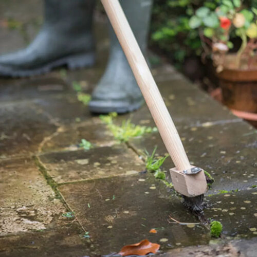 De Wiltfang Onkruidborstel met mes - Messing- op steel