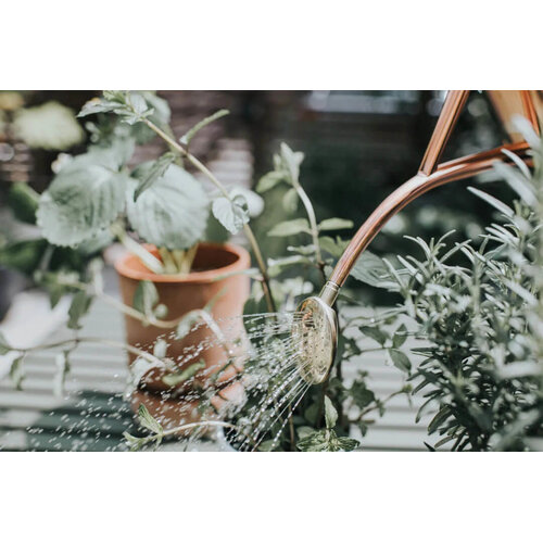 Haws Rowley Ripple binnengieter - 1 liter - Koper