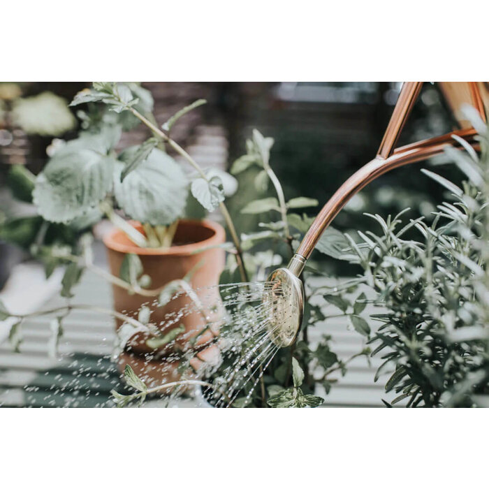 Haws Rowley Ripple binnengieter - 1 liter - Koper