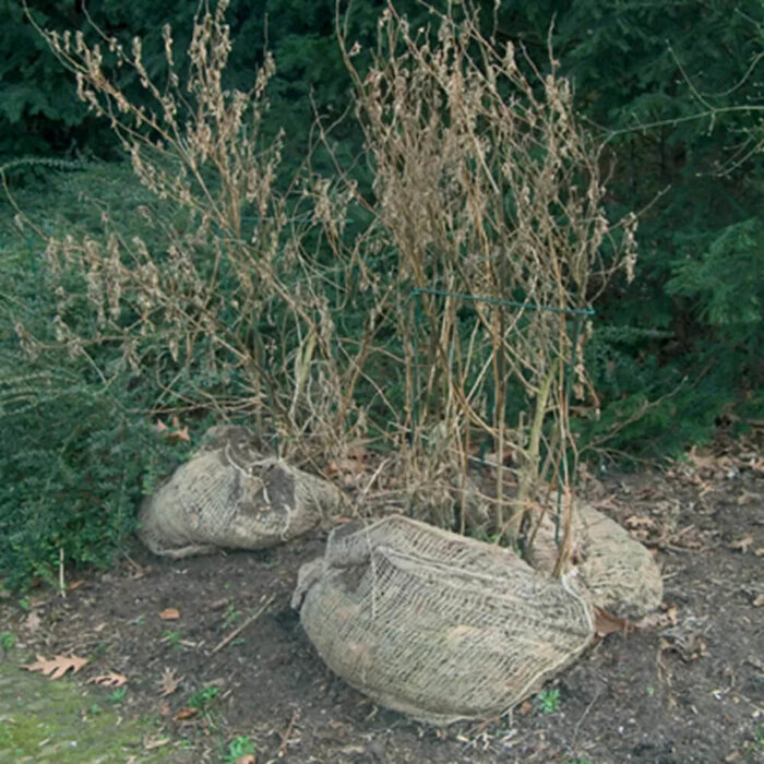 De Wiltfang Jute zakken voor bladeren - 3 stuks - Isolatie