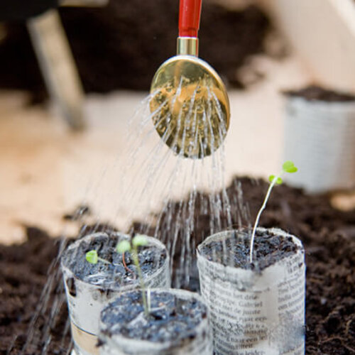 De Wiltfang Potjesmaker - Hout
