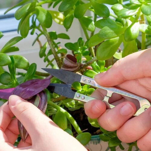 Burgon & Ball RVS Kruidenschaar - Deadhead