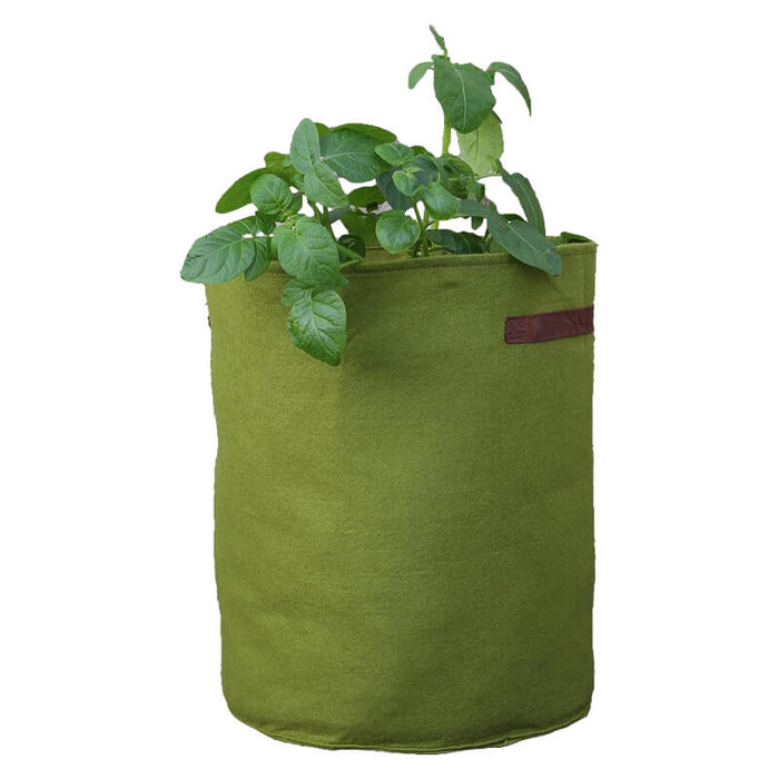 Haxnicks Planttas - Aardappelen en tomaten - Groen - Vilt