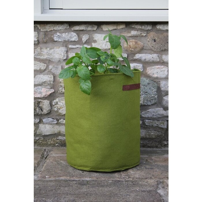 Haxnicks Planttas - Aardappelen en tomaten - Groen - Vilt