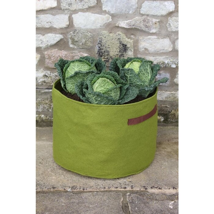 Haxnicks Planttas voor groenten - Groen - Vilt