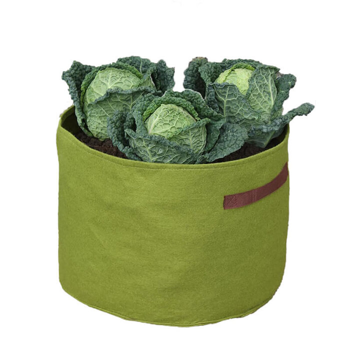 Haxnicks Planttas voor groenten - Groen - Vilt