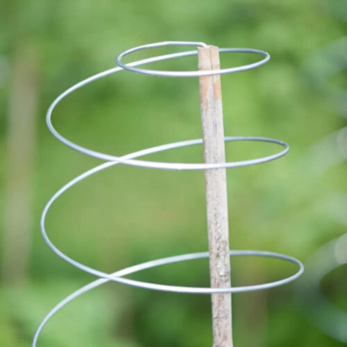 De Wiltfang Plantensteunen Klimspiraal - Hoog - 3 stuks