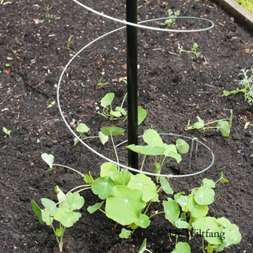 De Wiltfang Plantensteunen Klimspiraal - Hoog - 3 stuks