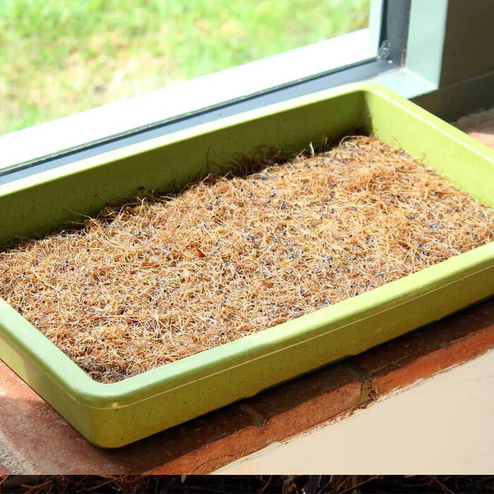 Haxnicks Kokosvezel micro groeimat - 3 stuks