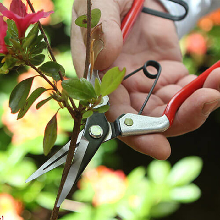 Darlac Bloemenschaar