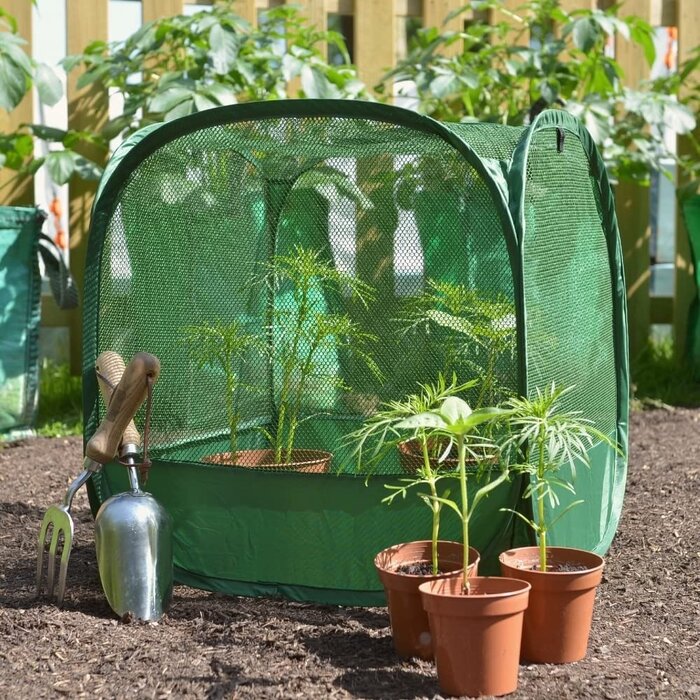 GardenSkill Pop up fruitkooi - 50 cm
