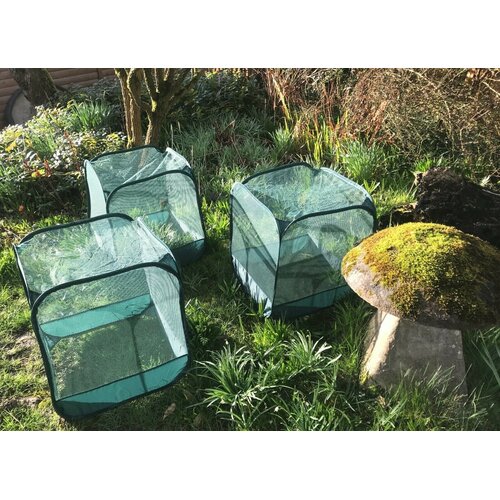 GardenSkill Pop up fruitkooi - 50 cm