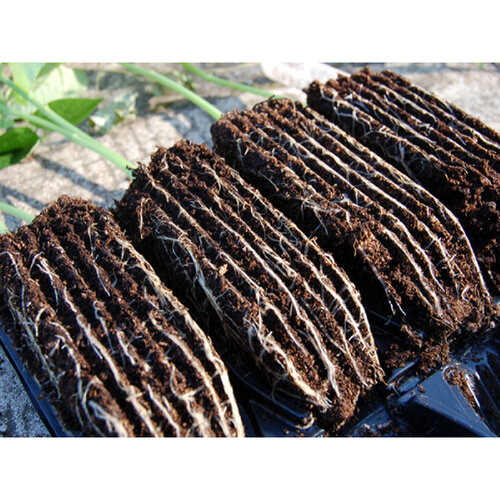 Haxnicks Compact Roottrainer zaaibakje - 20 zaaicellen