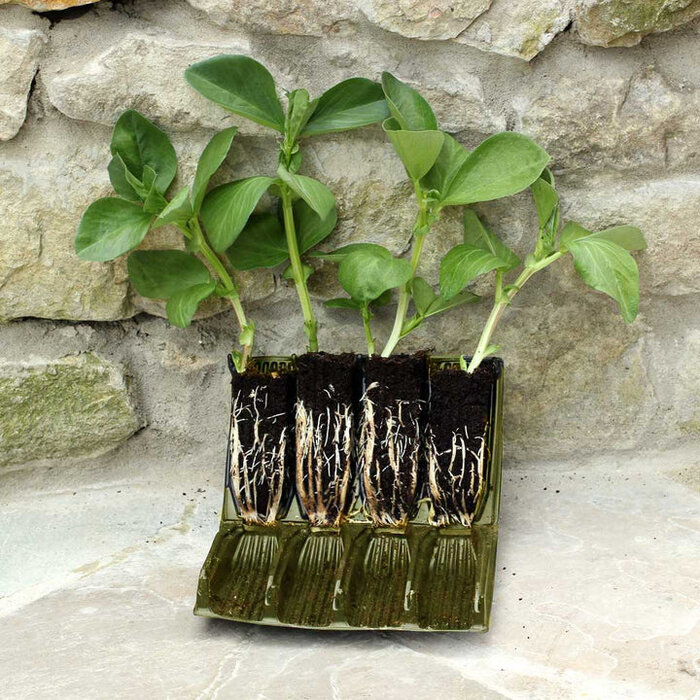 Haxnicks Rapid Roottrainer zaaibakje - 32 zaaicellen - 8 cm diep