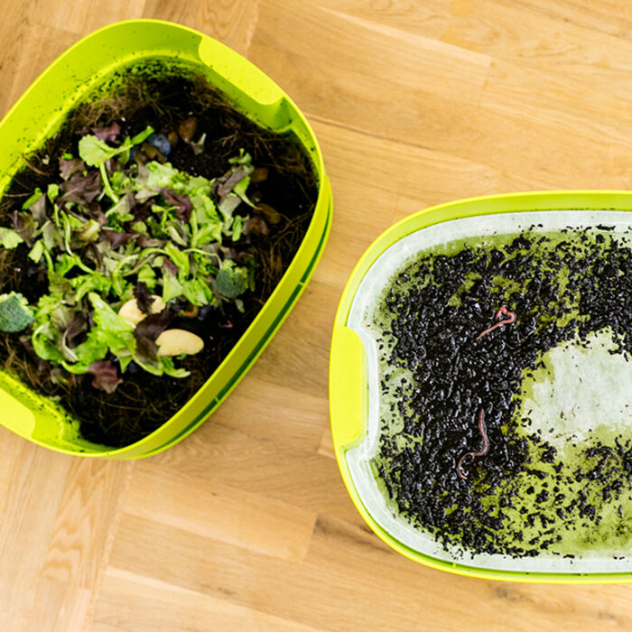 Plastia Worm composter - Lime