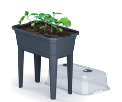 Prosperplast Kweektafel voor kruiden en groenten - 30 L - 60 x 75 cm - Antraciet