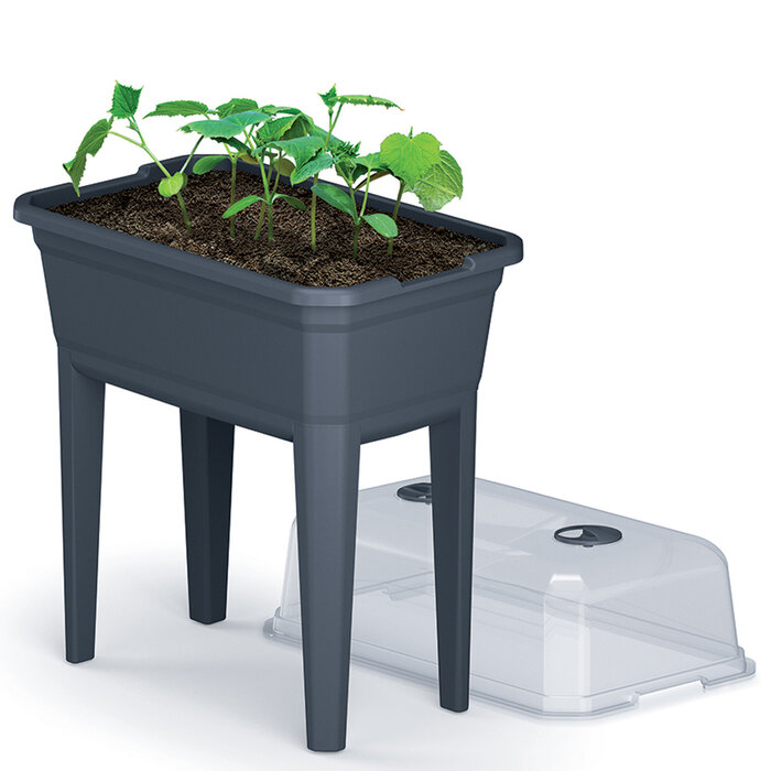 Prosperplast Kweektafel voor kruiden en groenten - 60 x 75 cm - Antraciet