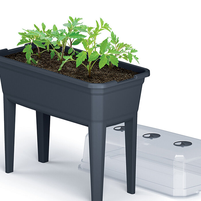 Prosperplast Kweektafel voor plantjes op stahoogte - Antraciet kunststof - 42 L - 75 x 77 cm
