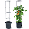Prosperplast Tomatenkweekpot - 39 cm diameter - Inclusief plantensteun