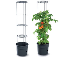 Prosperplast Tomatenkweekpot - 39 cm diameter - Inclusief plantensteun
