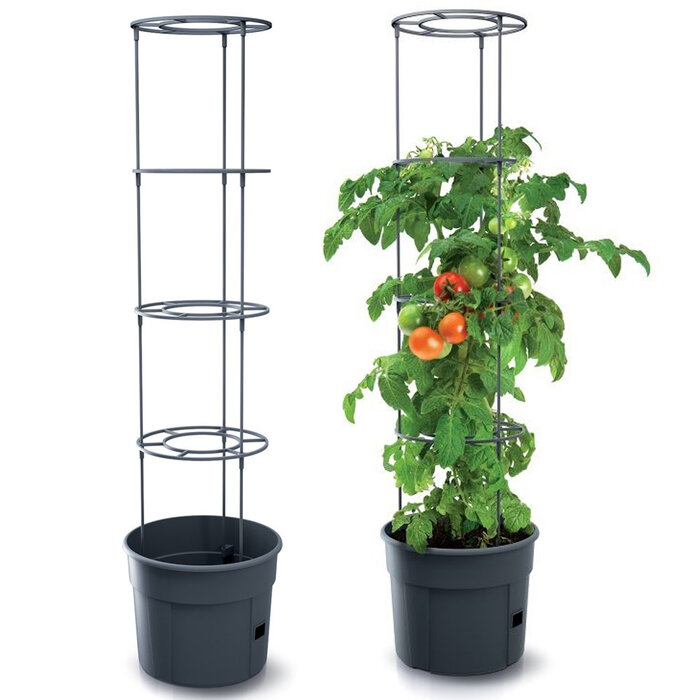 Prosperplast Tomatenkweekpot - 39 cm diameter - Inclusief plantensteun
