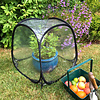 GardenSkill Mini Pop-up Cloche - 50 cm