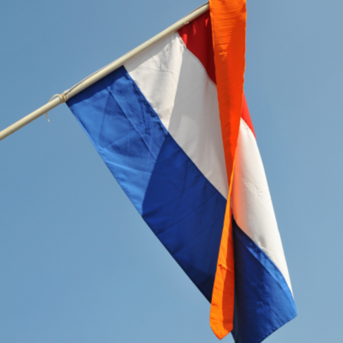 De Wiltfang Wimpel oranje - 200 cm - Voor stok 2 meter