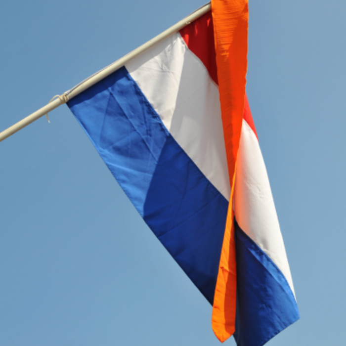 De Wiltfang Wimpel oranje - 200 cm - Voor stok 2 meter