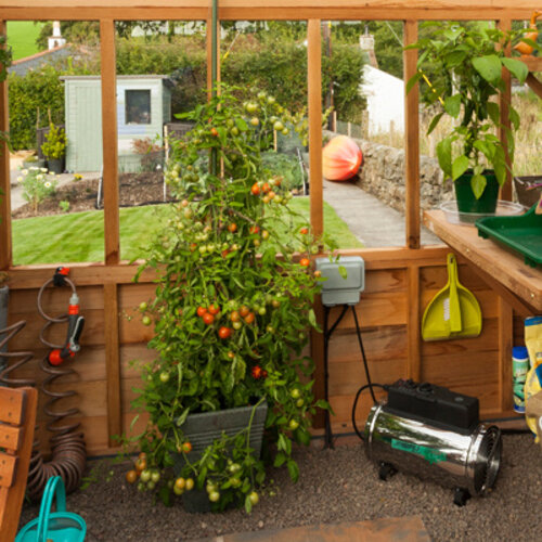 Biogreen Phoenix kaskachel - 3 standen