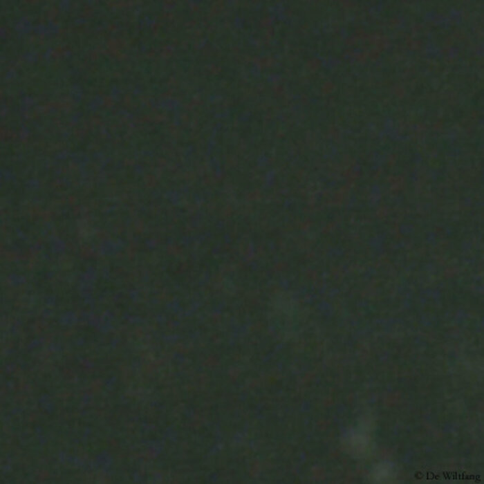 Uula Kookverf - Zwart 95 - 3 of 10 liter - Ecologisch