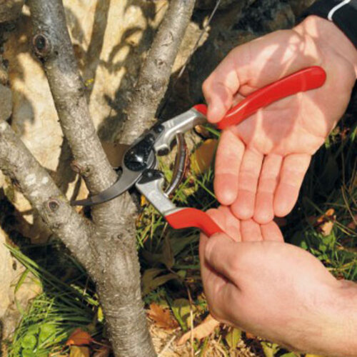 Felco 13 snoeischaar - extra groot - takken tot 30 mm