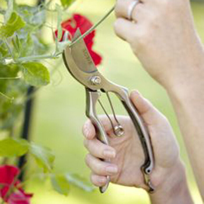 Burgon & Ball Sophie Conran Snoeischaar - RVS - Japans model