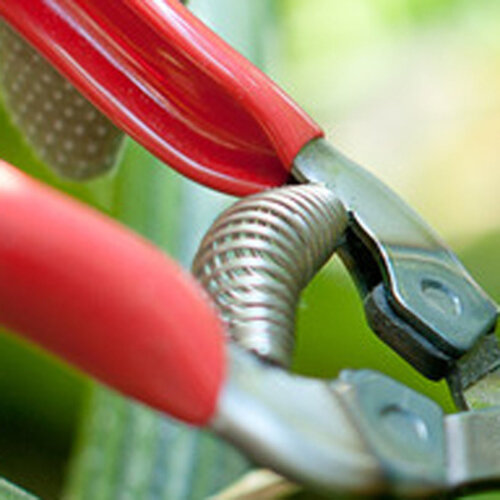 ARS Reserve veer voor dunscharen