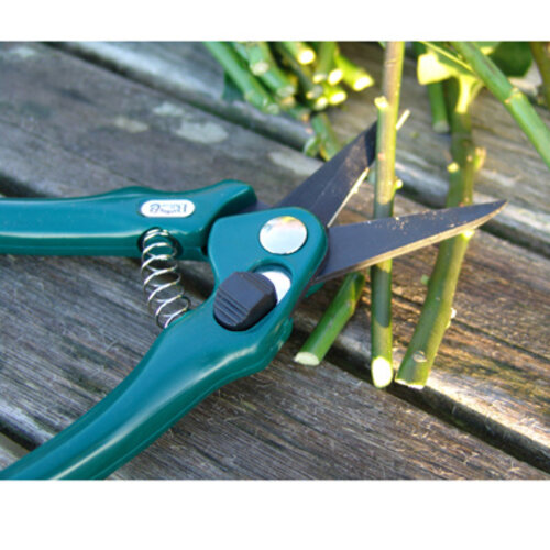 Burgon & Ball RHS Bloemenschaar - 5 mm stelen