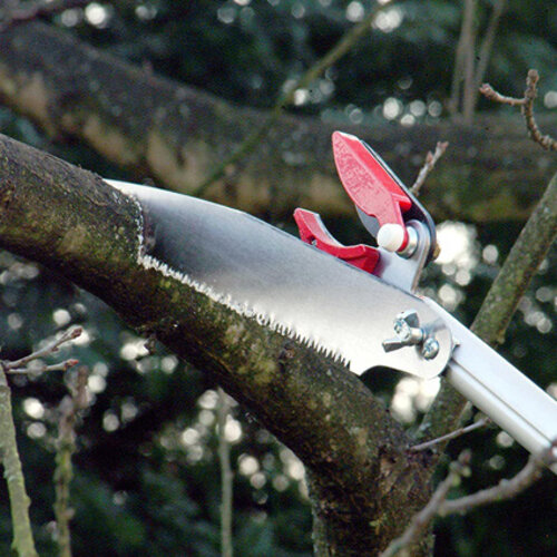 Darlac Telescopische plukschaar met zaag