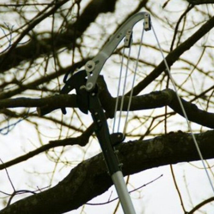 Silky Rupsenschaar - Zonder steel - Takdikte 50 mm